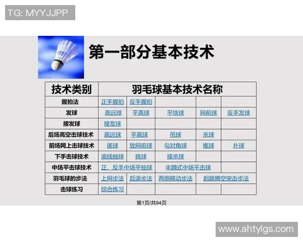 成都羽毛球队控制打法的专业分析与战术解读