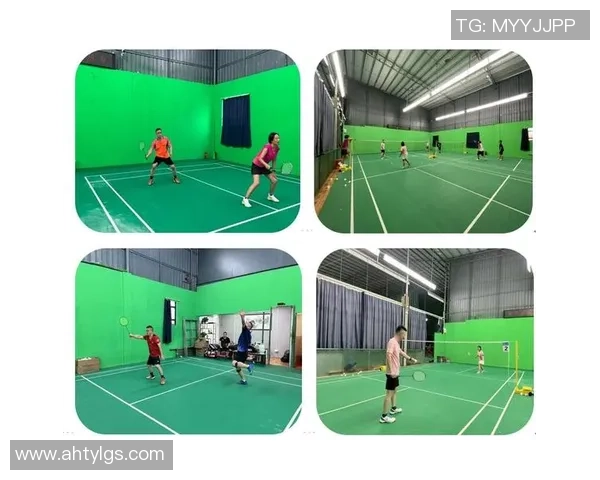 武汉羽毛球队在精英赛中的战术分析与表现评估